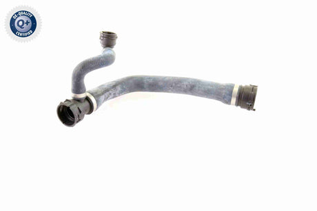 Radiator Hose - V20-1767