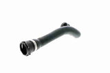 Radiator Hose - V20-1688