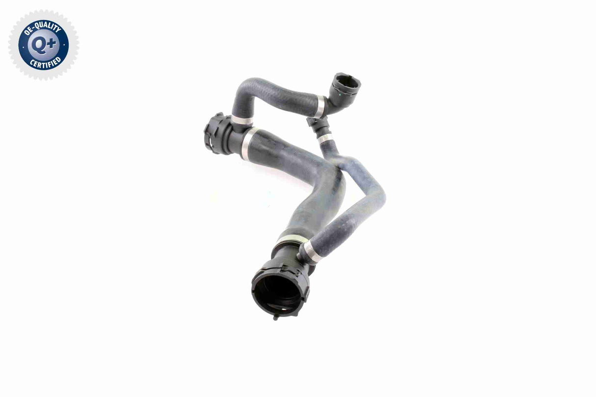 Radiator Hose - V20-1299