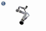 Radiator Hose - V20-1299