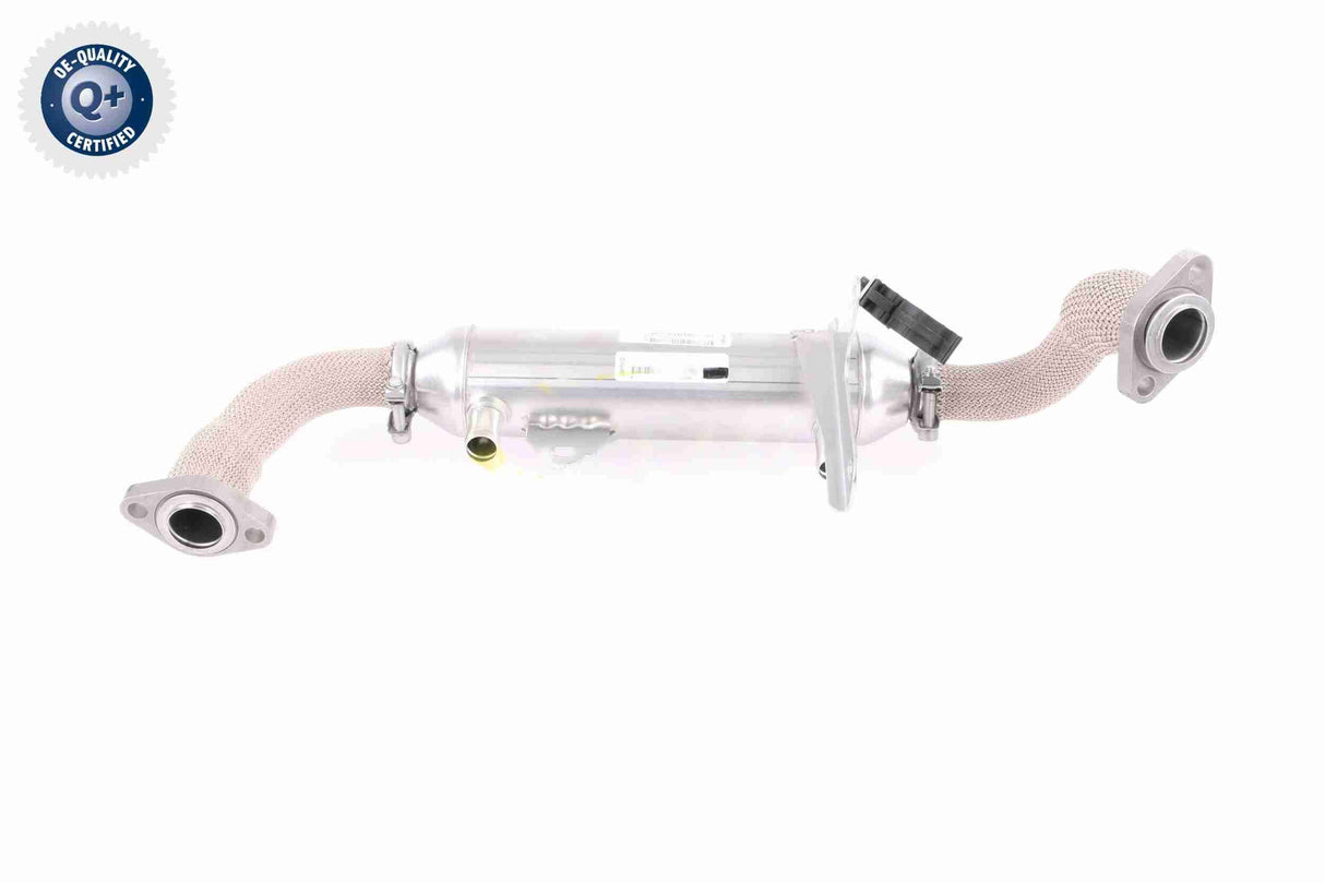 Cooler, exhaust gas recirculation - V24-63-0020