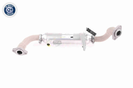 Cooler, exhaust gas recirculation - V24-63-0020