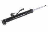 Shock Absorber - V10-6757