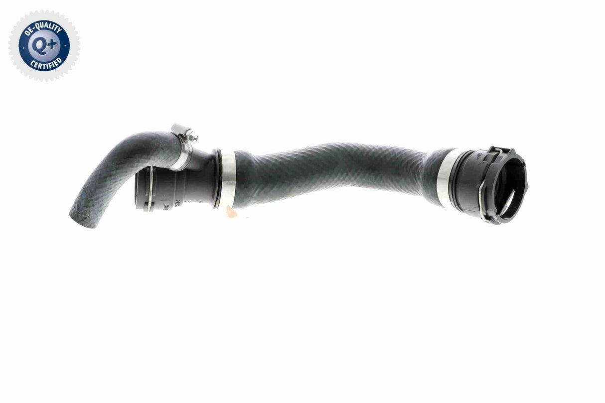 Radiator Hose - V20-1274