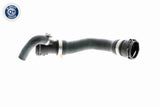 Radiator Hose - V20-1274