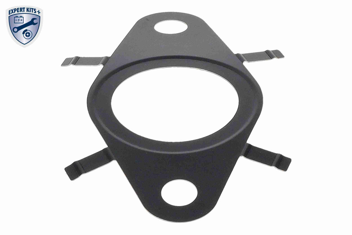 Gasket, EGR valve - V24-63-0038