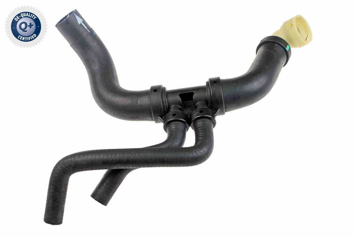 Radiator Hose - V25-1917