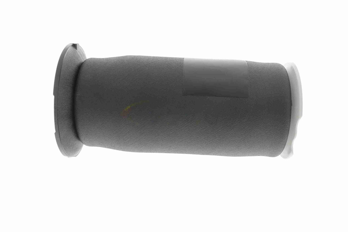Air Suspension Strut - V20-50-0023
