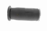 Air Suspension Strut - V20-50-0023