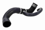 Radiator Hose - V30-2904