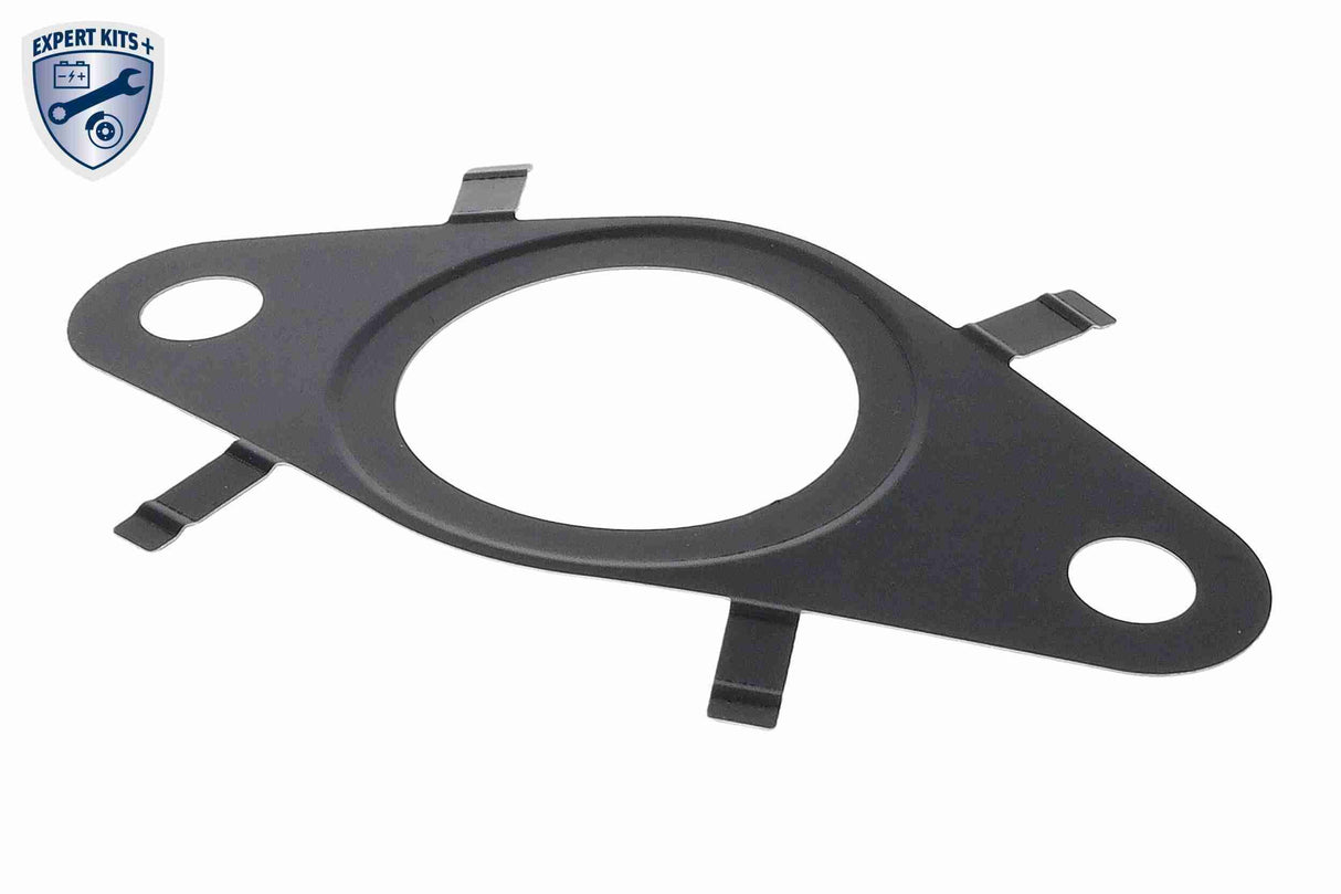 Gasket, EGR valve - V24-63-0038