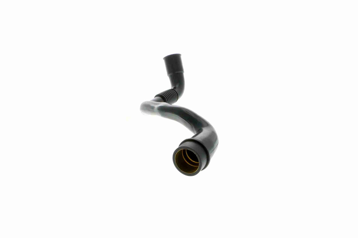 Hose, crankcase ventilation - V10-9768