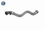 Radiator Hose - V20-0864