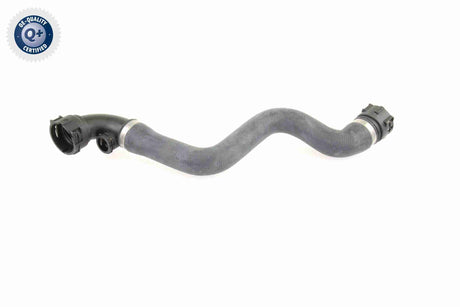 Radiator Hose - V20-0864