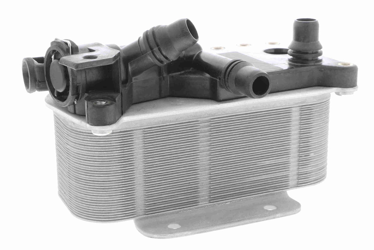Oil Cooler, engine oil - V20-60-0059