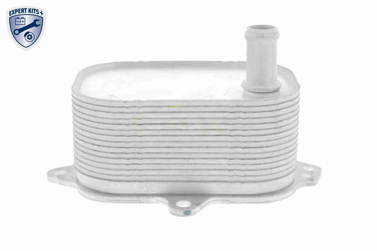 Oil Cooler, engine oil - V15-60-6088