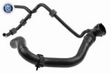 Radiator Hose - V10-5631