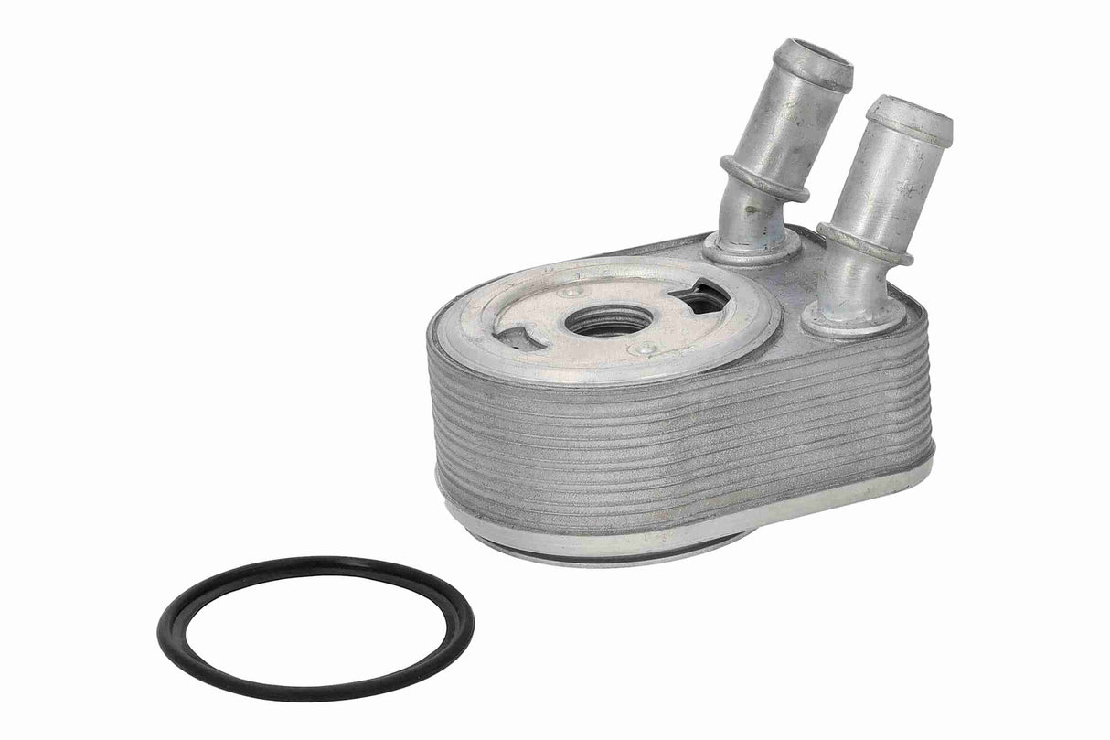 Oil Cooler, engine oil - V25-60-0096