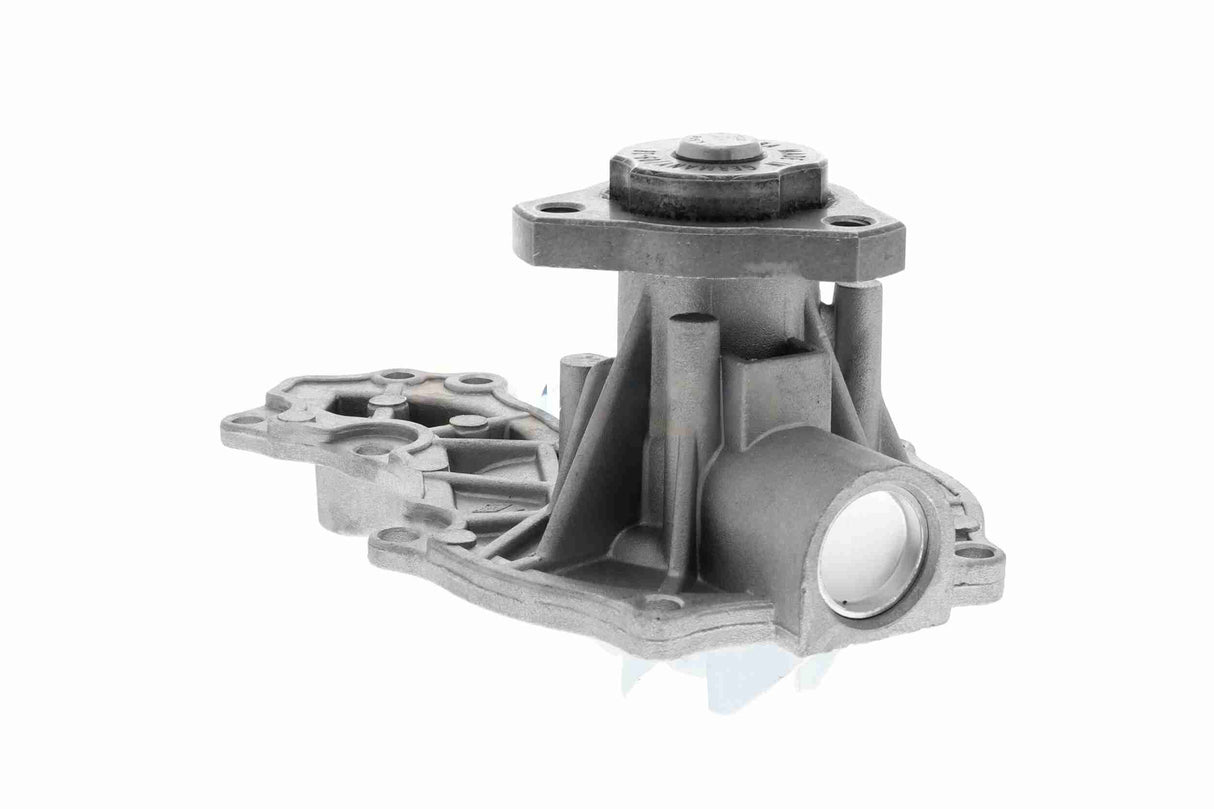 Water Pump, engine cooling - V10-50029