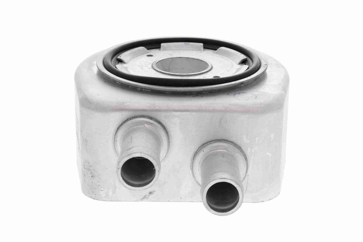 Oil Cooler, engine oil - V46-60-0071