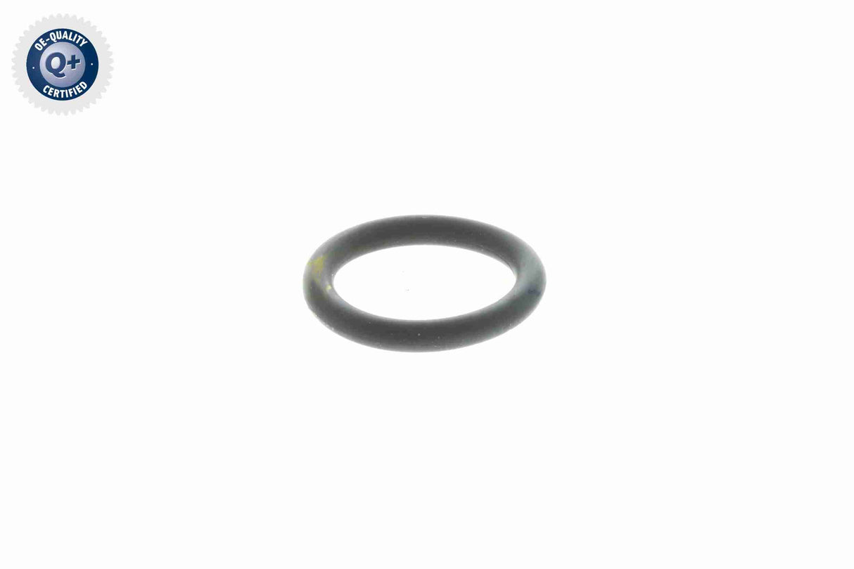 Seal Ring - V20-72-9901