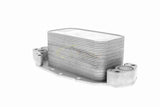 Oil Cooler, engine oil - V48-60-0018