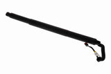 Electric Motor, tailgate - V10-55-0046
