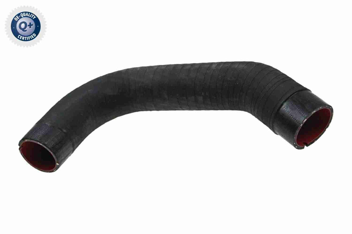 Charge Air Hose - V24-0740
