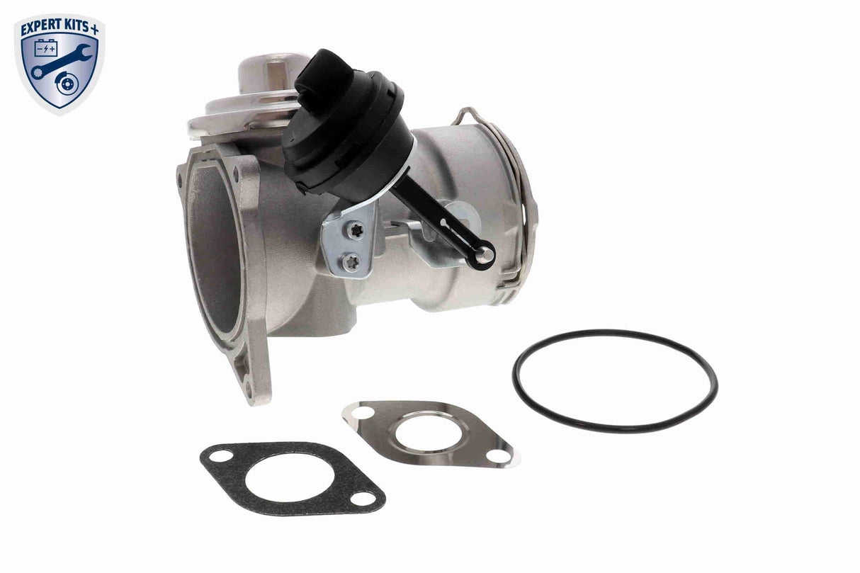 Valve, exhaust gas recirculation - V10-63-0026