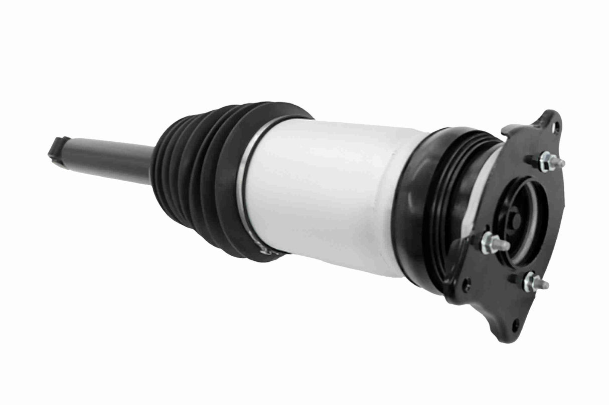 Air Suspension Strut - V58-50-0010