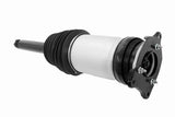 Air Suspension Strut - V58-50-0010