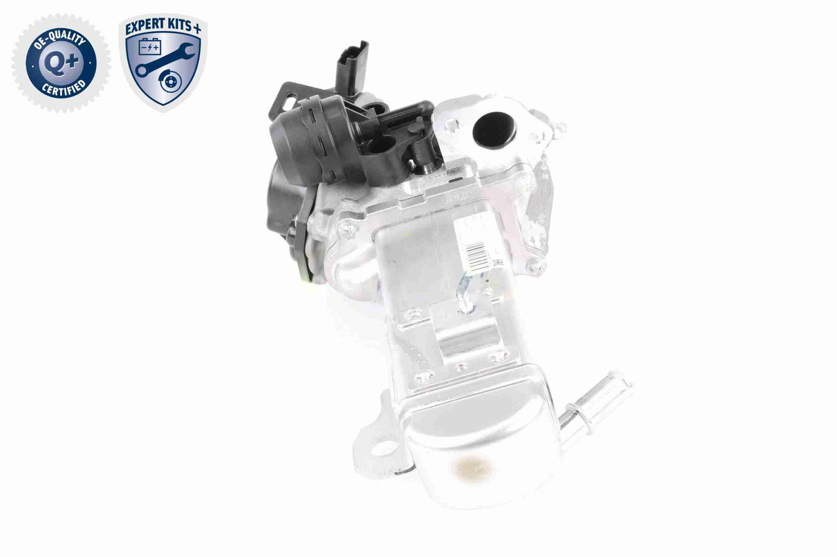 EGR Module - V22-63-0004