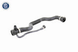 Radiator Hose - V20-1695