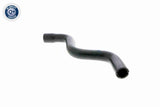 Radiator Hose - V24-0875
