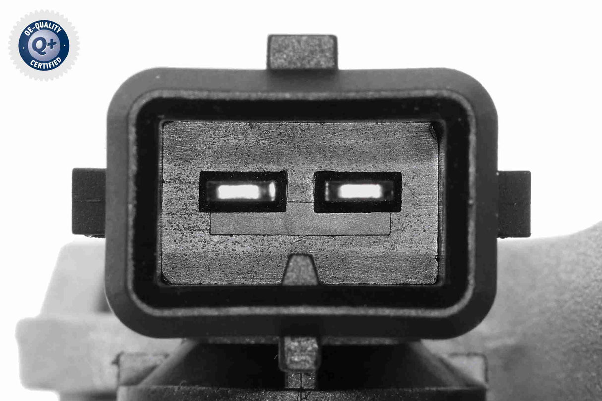 Throttle Body - V46-81-0008