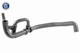 Radiator Hose - V10-2813