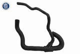 Radiator Hose - V25-2585