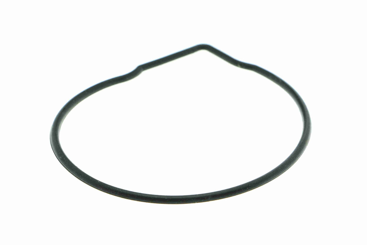 Water Pump, engine cooling - V10-50035