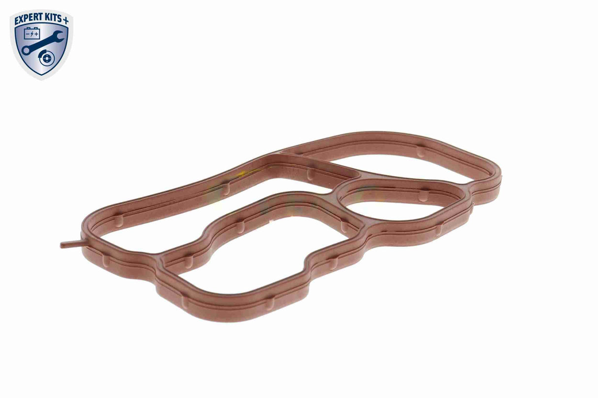 Gasket, oil cooler - V15-60-90015