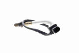 Oxygen Sensor - V20-76-0063