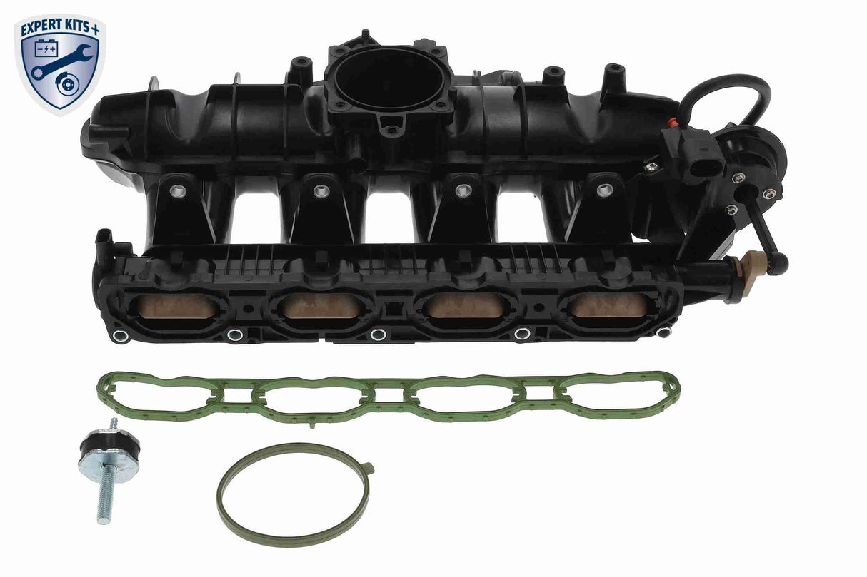 Intake Manifold Module - V10-6723