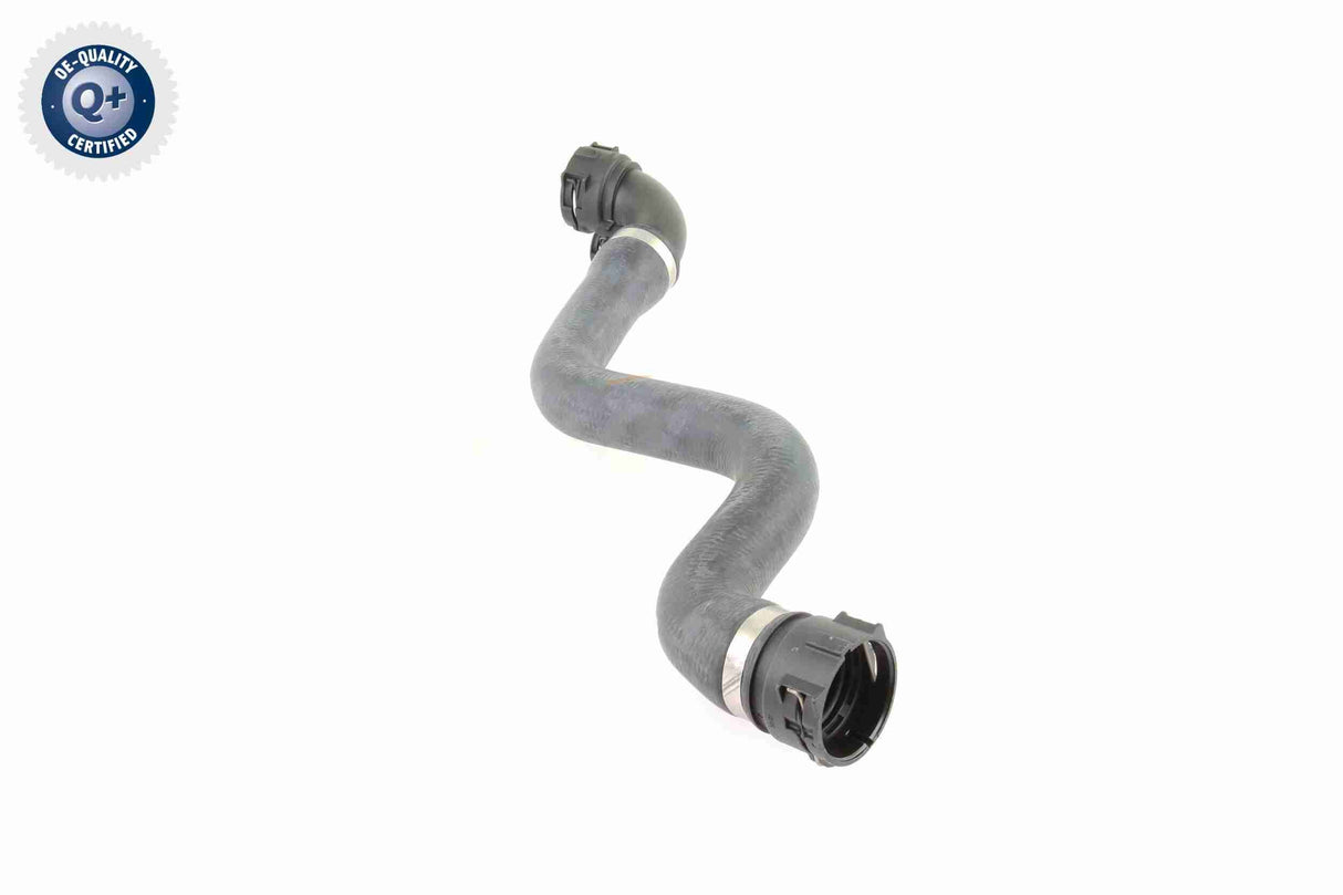 Radiator Hose - V20-0864