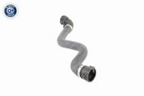 Radiator Hose - V20-0864