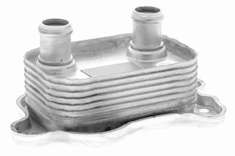 Oil Cooler, engine oil - V20-60-0051
