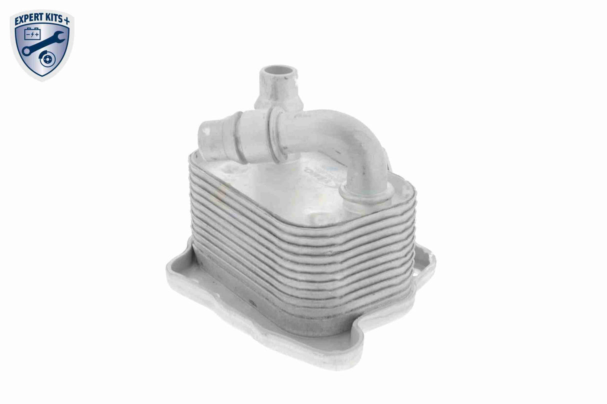 Oil Cooler, engine oil - V20-60-0031