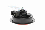 Signal Horn - V10-77-0911