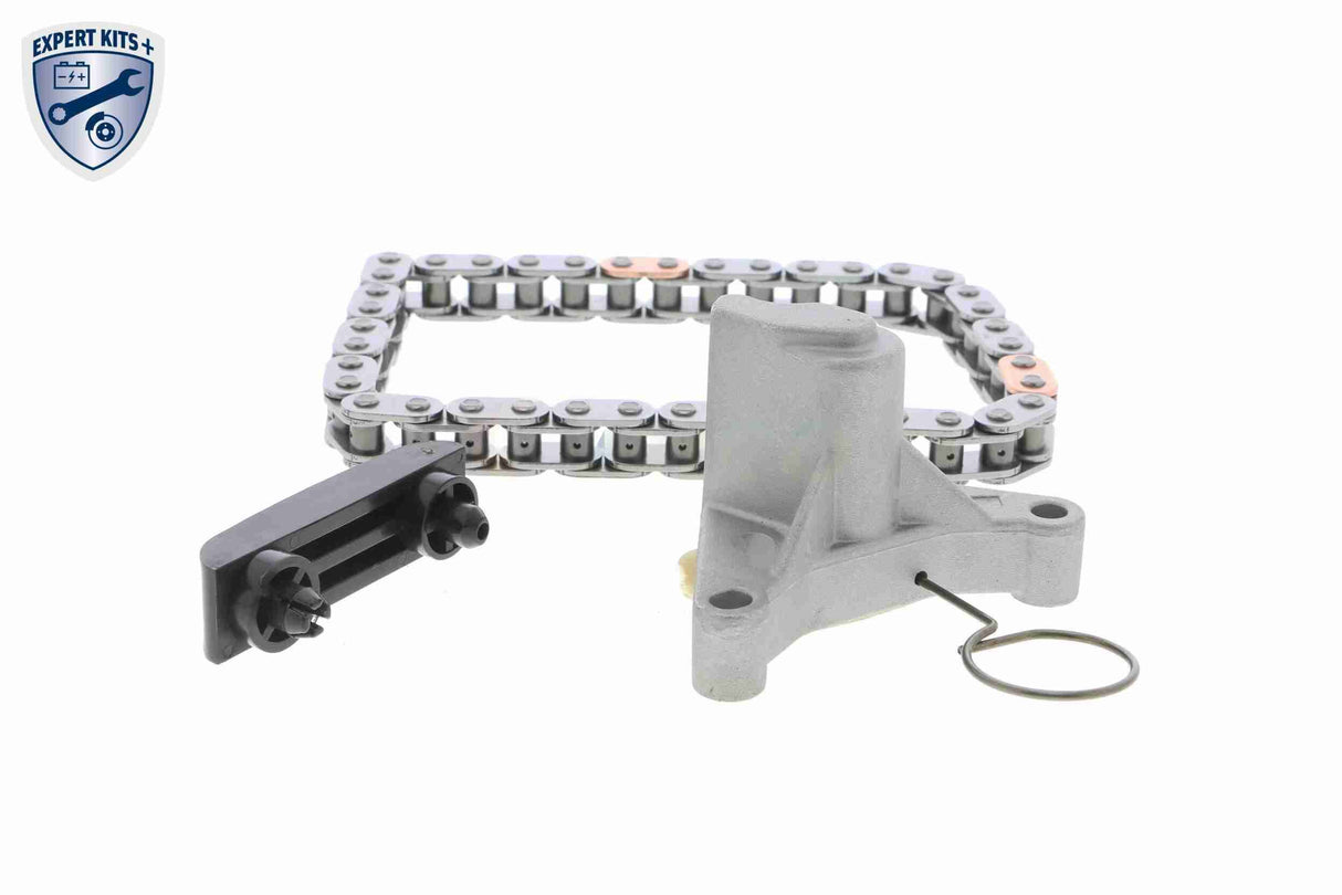 Timing Chain Kit - V25-10002-BEK