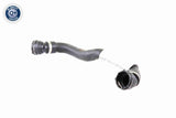 Radiator Hose - V20-2290