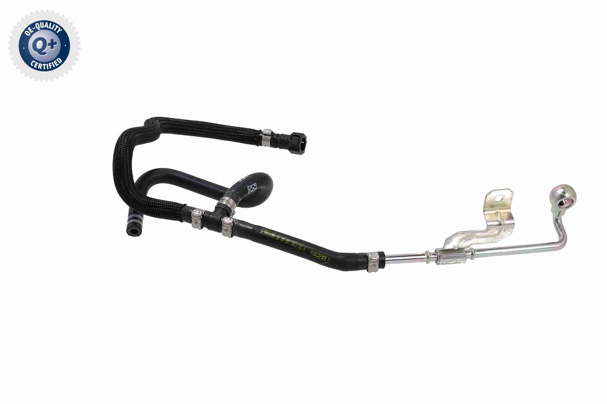 Radiator Hose - V24-1281