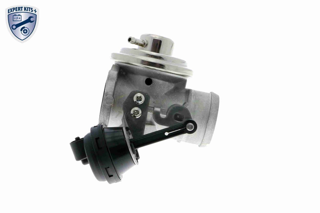 Valve, exhaust gas recirculation - V10-63-0023-1